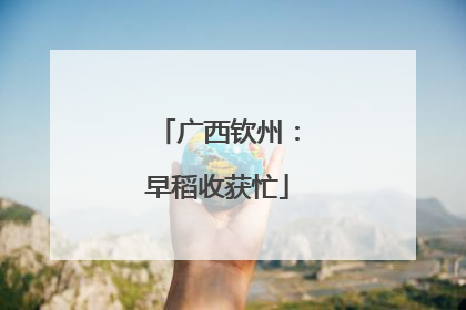 广西钦州：早稻收获忙