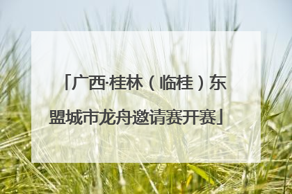 广西·桂林（临桂）东盟城市龙舟邀请赛开赛