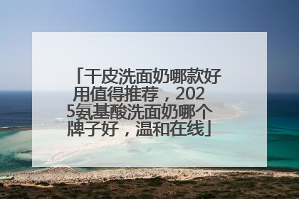 干皮洗面奶哪款好用值得推荐，2025氨基酸洗面奶哪个牌子好，温和在线