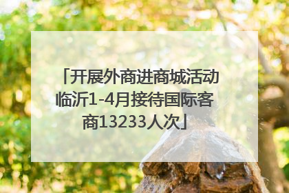 开展外商进商城活动 临沂1-4月接待国际客商13233人次