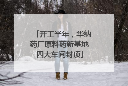 开工半年，华纳药厂原料药新基地四大车间封顶