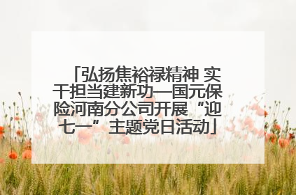 弘扬焦裕禄精神 实干担当建新功—国元保险河南分公司开展“迎七一”主题党日活动