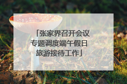 张家界召开会议专题调度端午假日旅游接待工作