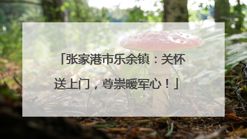 张家港市乐余镇：关怀送上门，尊崇暖军心！