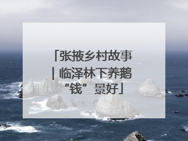 张掖乡村故事｜临泽林下养鹅“钱”景好