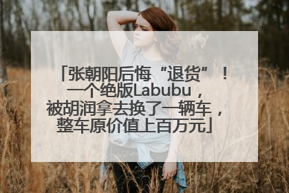 张朝阳后悔“退货”！一个绝版Labubu，被胡润拿去换了一辆车，整车原价值上百万元