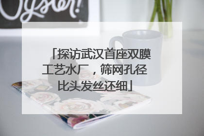 探访武汉首座双膜工艺水厂，筛网孔径比头发丝还细