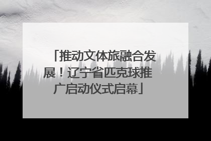 推动文体旅融合发展！辽宁省匹克球推广启动仪式启幕