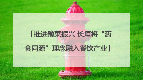 推进豫菜振兴 长垣将“药食同源”理念融入餐饮产业