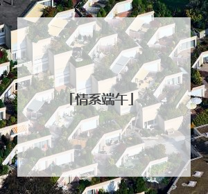 情系端午