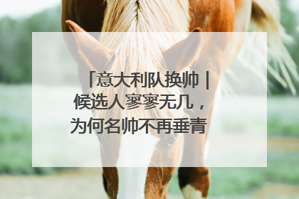 意大利队换帅｜候选人寥寥无几，为何名帅不再垂青“蓝衣军团”？