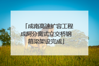 成南高速扩容工程成阿分离式立交桥钢箱梁架设完成