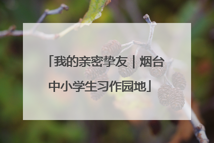 我的亲密挚友｜烟台中小学生习作园地