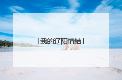 我的辽阳情结