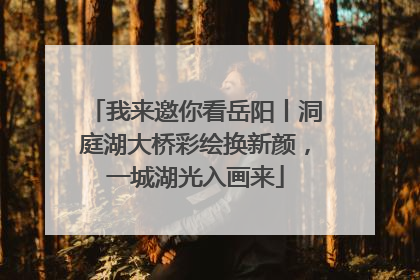 我来邀你看岳阳丨洞庭湖大桥彩绘换新颜，一城湖光入画来
