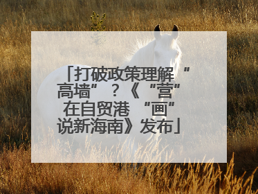 打破政策理解“高墙”？《“营”在自贸港 “画”说新海南》发布