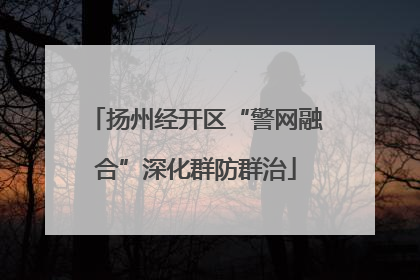 扬州经开区“警网融合”深化群防群治