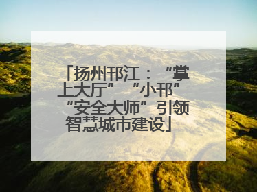 扬州邗江：“掌上大厅”“小邗”“安全大师”引领智慧城市建设