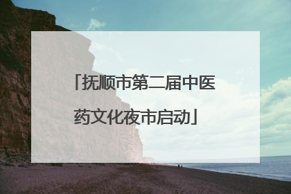 抚顺市第二届中医药文化夜市启动