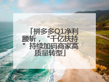 拼多多Q1净利腰斩，“千亿扶持”持续加码商家高质量转型