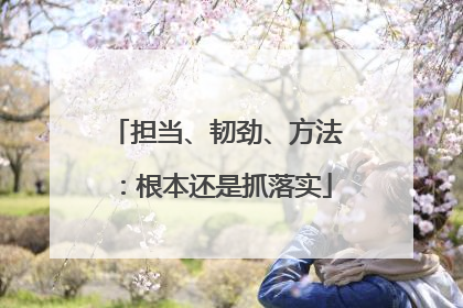 担当、韧劲、方法：根本还是抓落实