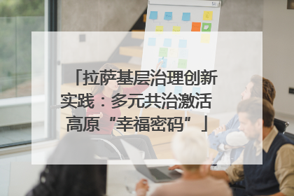 拉萨基层治理创新实践：多元共治激活高原“幸福密码”