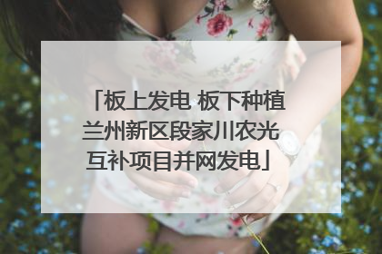板上发电 板下种植 兰州新区段家川农光互补项目并网发电