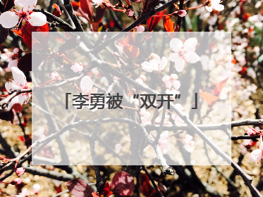 李勇被“双开”