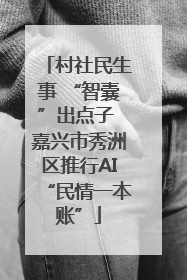 村社民生事 “智囊”出点子 嘉兴市秀洲区推行AI“民情一本账”