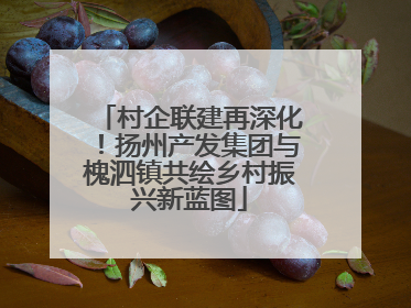 村企联建再深化！扬州产发集团与槐泗镇共绘乡村振兴新蓝图