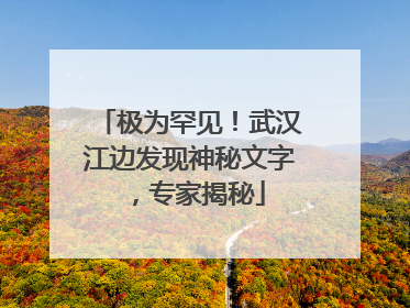 极为罕见！武汉江边发现神秘文字，专家揭秘