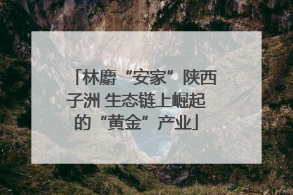 林麝“安家”陕西子洲 生态链上崛起的“黄金”产业