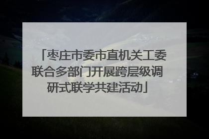 枣庄市委市直机关工委联合多部门开展跨层级调研式联学共建活动
