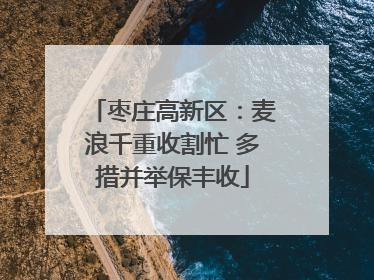 枣庄高新区：麦浪千重收割忙 多措并举保丰收