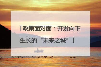 政策面对面：开发向下生长的“未来之城”