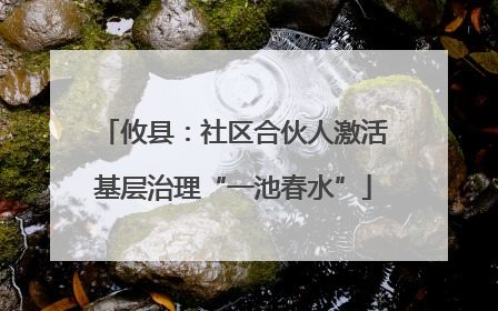 攸县：社区合伙人激活基层治理“一池春水”