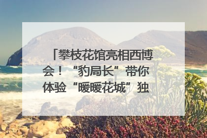 攀枝花馆亮相西博会！“豹局长”带你体验“暖暖花城”独特魅力｜西博视界
