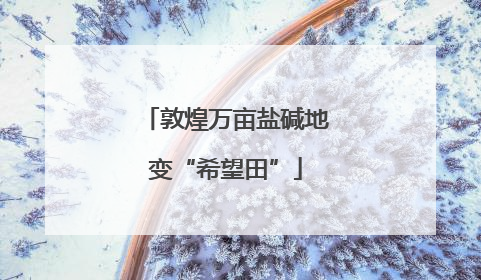敦煌万亩盐碱地变“希望田”
