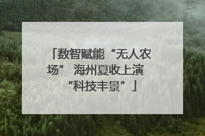 数智赋能“无人农场” 海州夏收上演“科技丰景”
