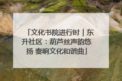 文化书院进行时｜东升社区：葫芦丝声韵悠扬 奏响文化和谐曲