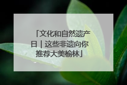 文化和自然遗产日｜这些非遗向你推荐大美榆林