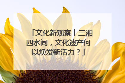 文化新观察丨三湘四水间，文化遗产何以焕发新活力？