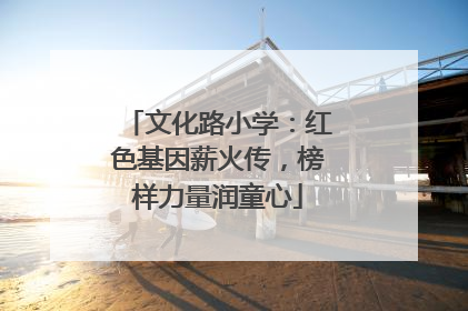 文化路小学：红色基因薪火传，榜样力量润童心