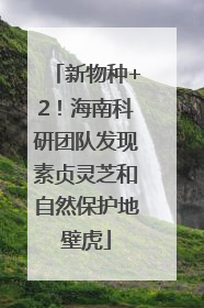 新物种+2！海南科研团队发现素贞灵芝和自然保护地壁虎