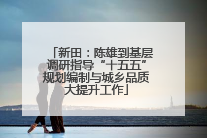 新田：陈雄到基层调研指导“十五五”规划编制与城乡品质大提升工作