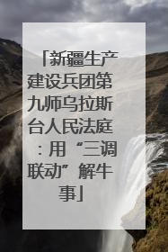 新疆生产建设兵团第九师乌拉斯台人民法庭：用“三调联动”解牛事