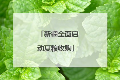 新疆全面启动夏粮收购
