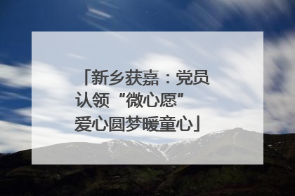 新乡获嘉：党员认领“微心愿” 爱心圆梦暖童心