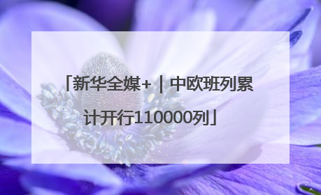 新华全媒+｜中欧班列累计开行110000列