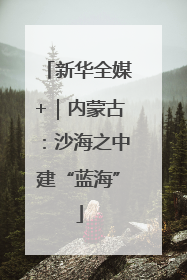 新华全媒+｜内蒙古：沙海之中建“蓝海”